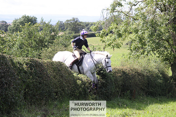 Hurworth HedgeHop 410