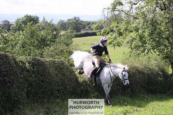 Hurworth HedgeHop 411