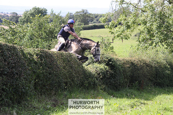 Hurworth HedgeHop 413