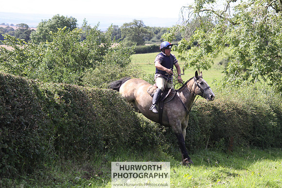 Hurworth HedgeHop 415