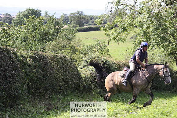 Hurworth HedgeHop 416