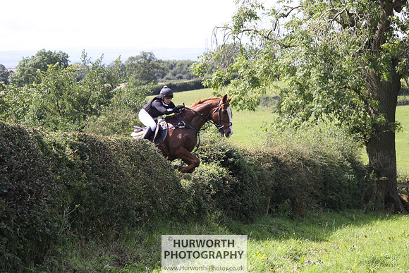 Hurworth HedgeHop 417