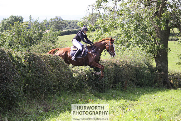 Hurworth HedgeHop 418