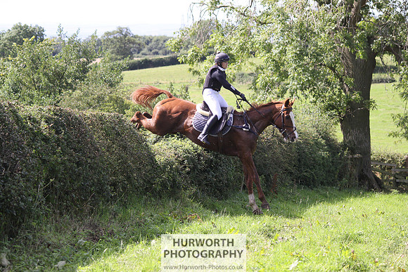 Hurworth HedgeHop 419