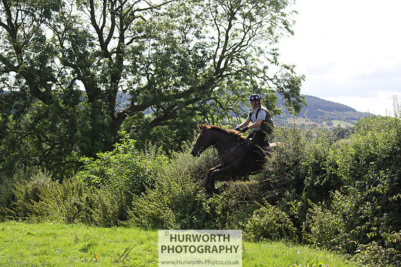Hurworth HedgeHop 420
