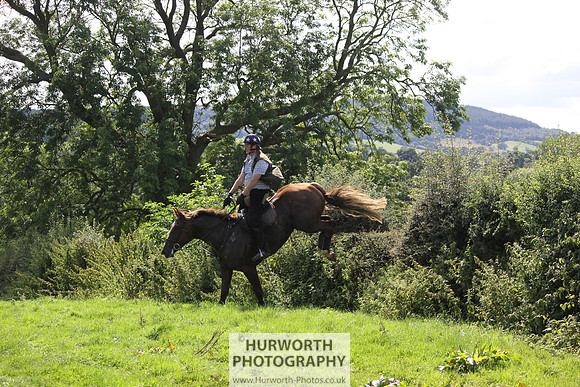 Hurworth HedgeHop 422