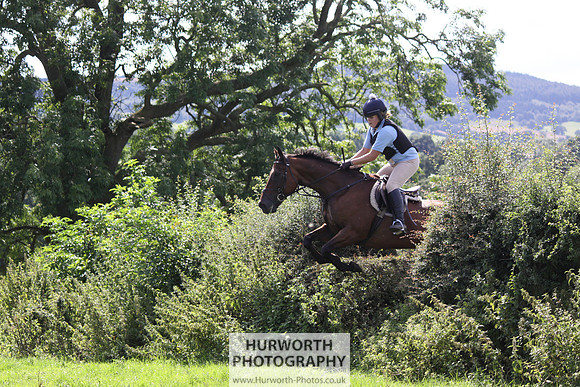 Hurworth HedgeHop 423