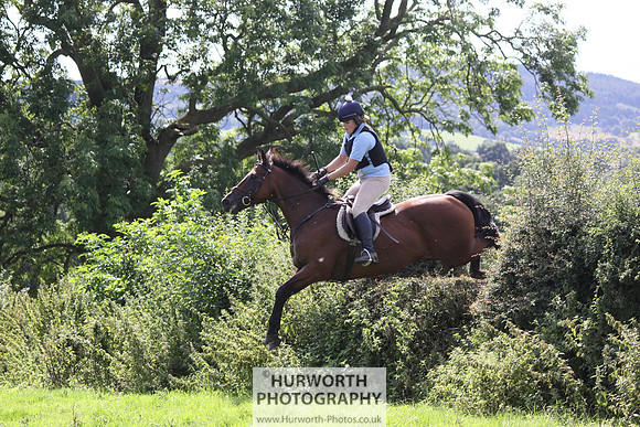 Hurworth HedgeHop 424