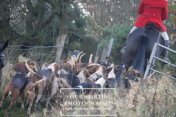Hurworth 026