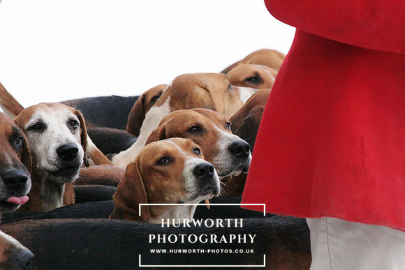 Hurworth 031