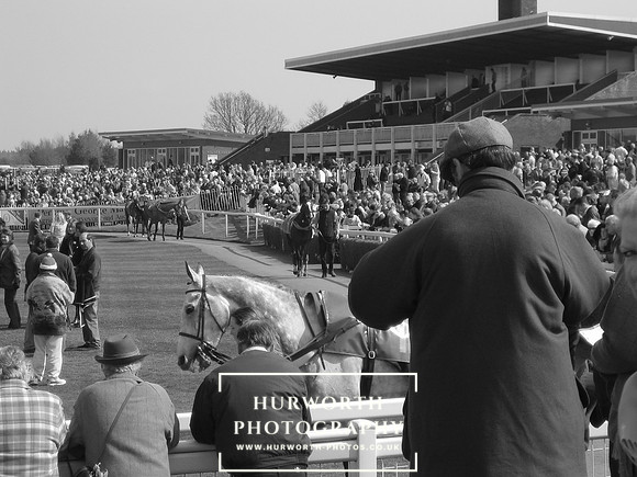In the parade ring