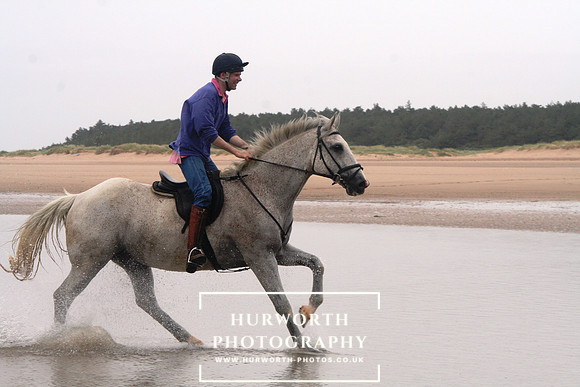 Galloping at the beach