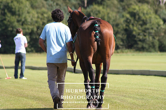 Polo Sidelines