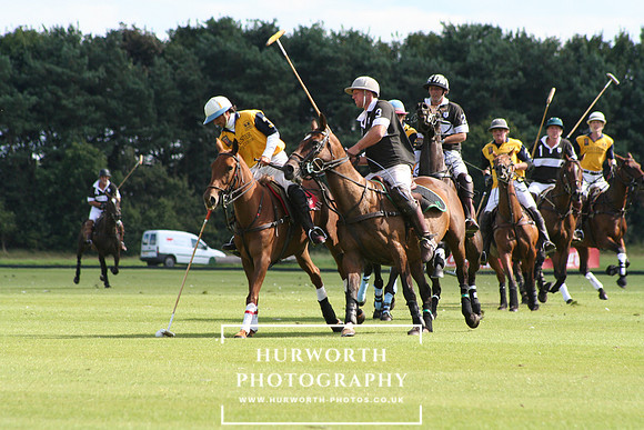 Cheshire Polo