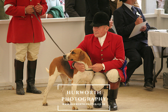 Hurworth Ruby & Mr Joe Townsend