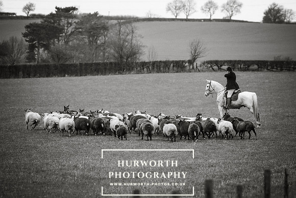 Hurworth Hunt 289