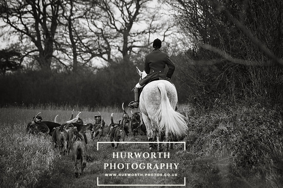 Hurworth Hunt 219