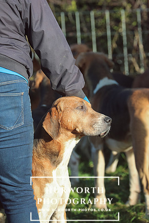 Hurworth Hunt 78