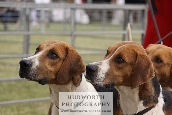 Festival of Hunting-1