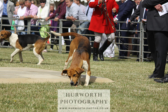 Festival of Hunting-3