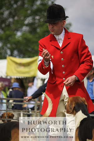 Festival of Hunting-4