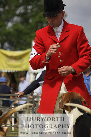 Festival of Hunting-5