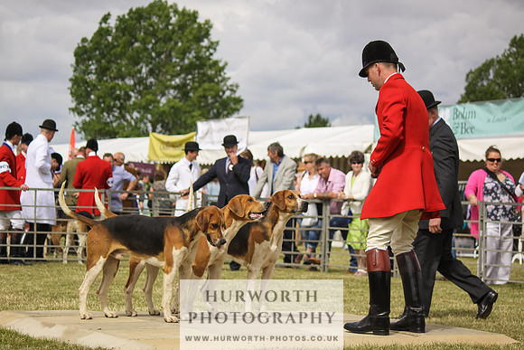 Festival of Hunting-7