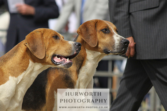 Festival of Hunting-8