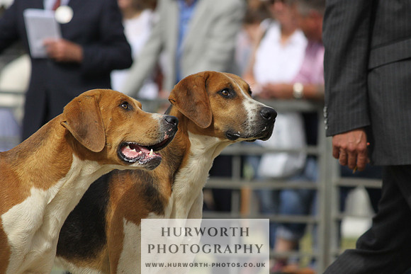 Festival of Hunting-9