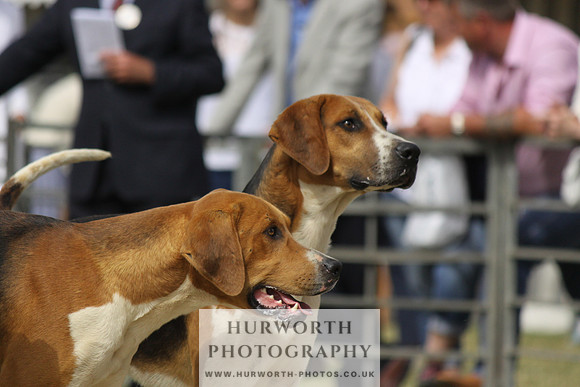 Festival of Hunting-10