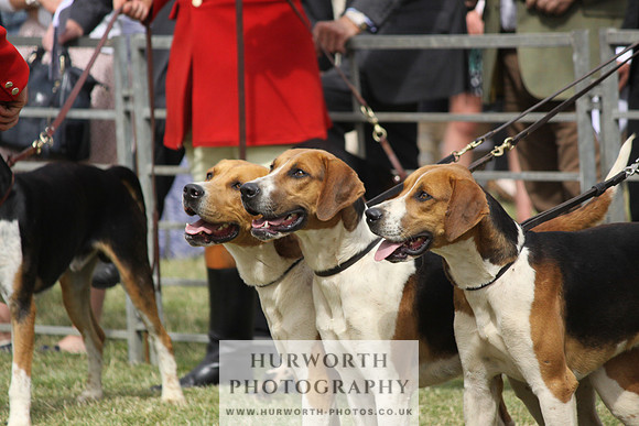 Festival of Hunting-11