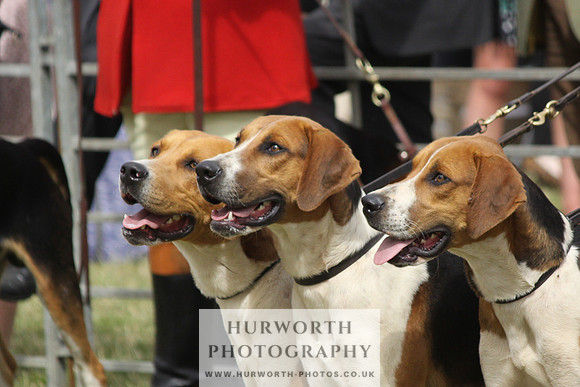Festival of Hunting-12