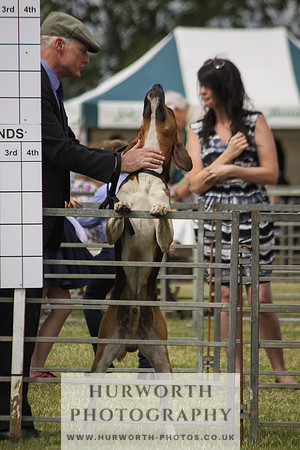 Festival of Hunting-13