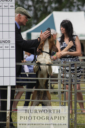 Festival of Hunting-14