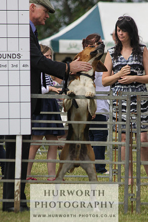 Festival of Hunting-15