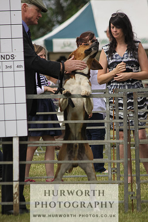 Festival of Hunting-16