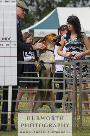 Festival of Hunting-17