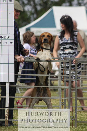 Festival of Hunting-18