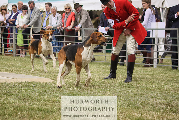 Festival of Hunting-20