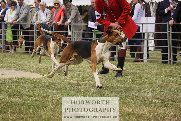 Festival of Hunting-21