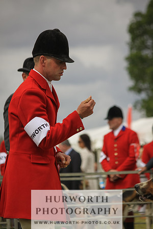 Festival of Hunting-22