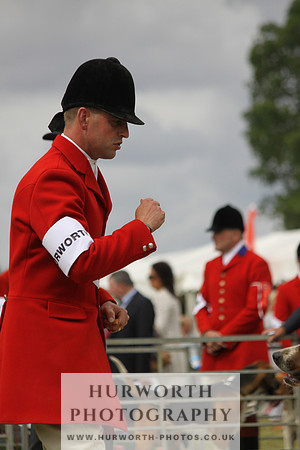 Festival of Hunting-23