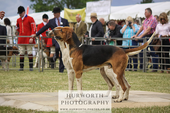 Festival of Hunting-28