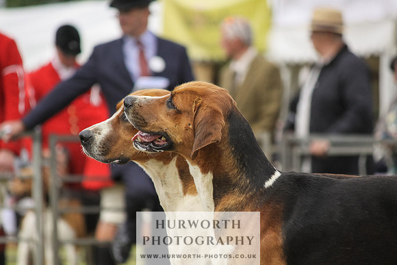 Festival of Hunting-29