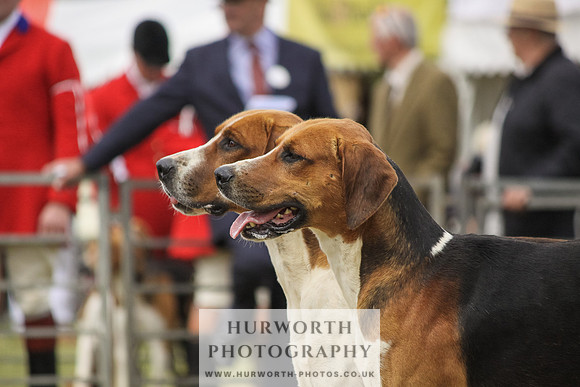 Festival of Hunting-30