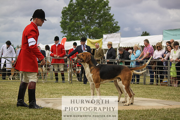 Festival of Hunting-31