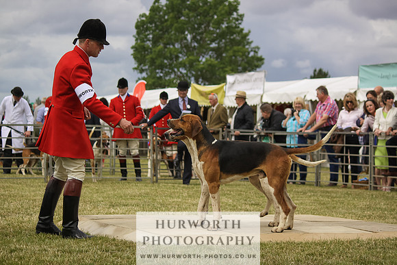 Festival of Hunting-32