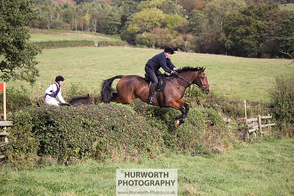 Hurworth Bilsdale Hedge Hop 657