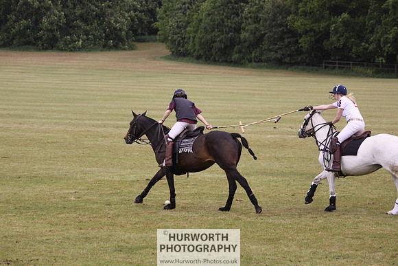 Toulston Polo 055