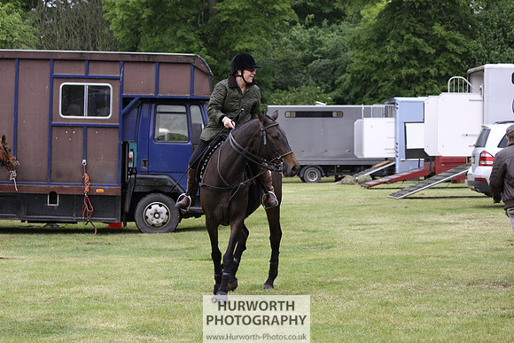 Toulston Polo 062